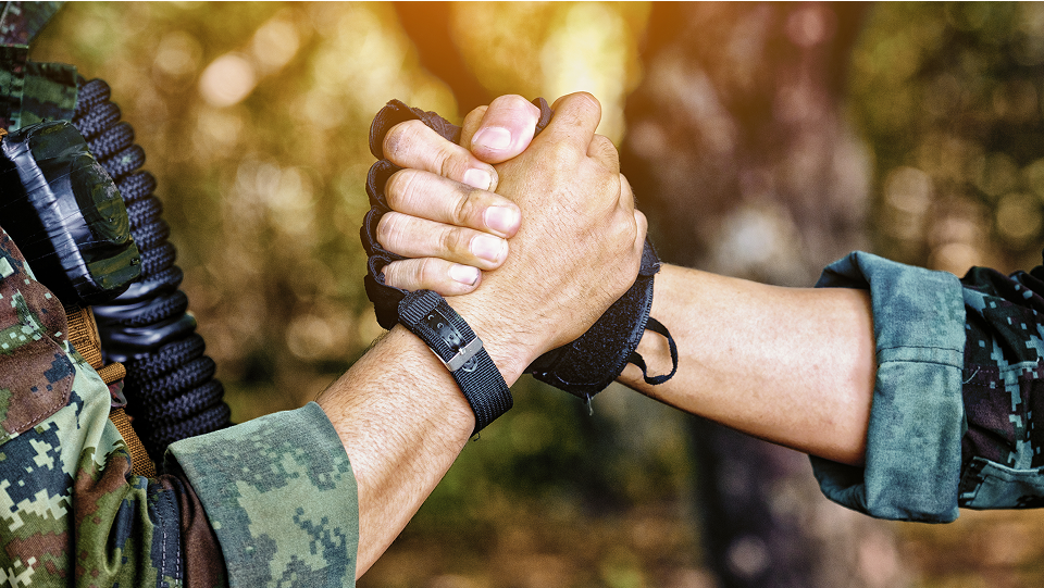 CVR_ConsultCapabilities